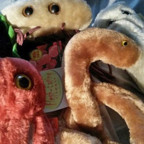 То ли жук, то ли ЗППП. Нелепые посты в сети про лихорадку Эбола.