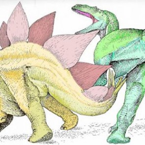 Cтегозавры убивали аллозавров ударом хвоста в лобковую кость