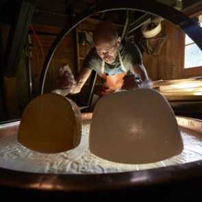 Импорт швейцарского сыра в РФ вырос почти в 5 раз