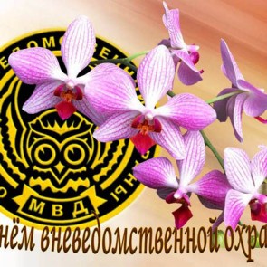 День работников вневедомственной охраны МВД - 29 октября