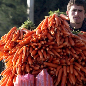 Россельхознадзор запретил растительную продукцию из Албании