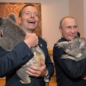 Фотосессия Путина с коалой обошлась австралийцам в 24 тысячи долларов