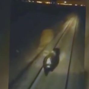 Сбившие медведя железнодорожники объяснили свой поступок