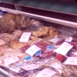 Жители Владивостока обеспокоились судьбой кота-гурмана