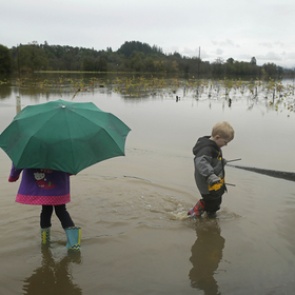 К весне 2015 года прогнозы погоды станут точнее