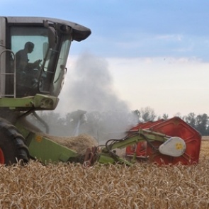 Пошлину на экспорт пшеницы введут с 1 февраля