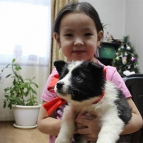 Якутская девочка получила в подарок от Путина собаку