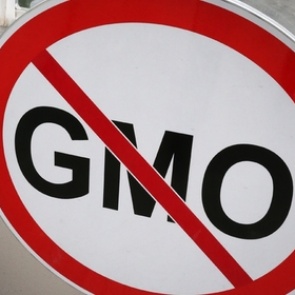 В Госдуму внесен законопроект о запрете на выращивание ГМО в России