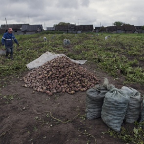 Депутаты предложили бесплатно раздать пустующие земли