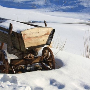 Починки - 16 февраля