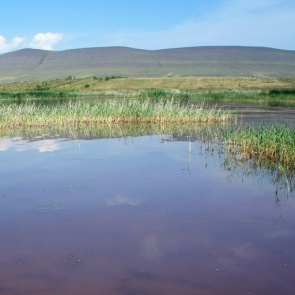 На хакасских озерах появится еще один благоустроенный пляж