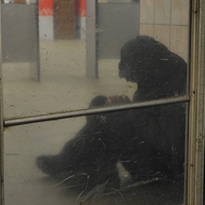 В Москве задержали подозреваемого в убийствах бомжей