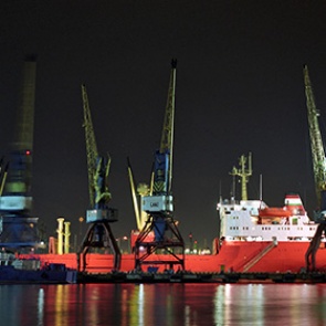 В Россию отказались пустить египетские апельсины с личинками мух