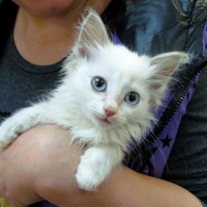 Благотворительная ярмарка