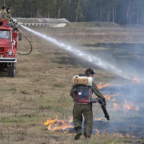 Горе от огня. Зачем в России поджигают целые регионы