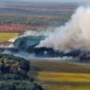 Площадь лесных пожаров в Сибири увеличилась за сутки на 10 тысяч гектаров