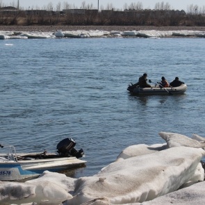 В Туве ищут бросившуюся с моста в Енисей девушку
