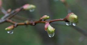 В Ачинск пришло похолодание