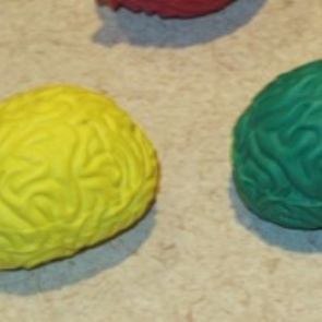 На улице американского городка нашли мозги