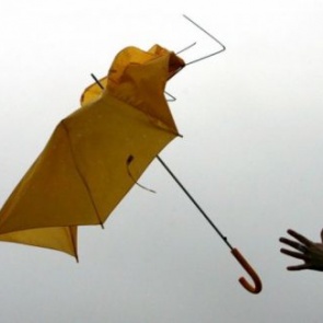 Специалисты МЧС предупредили о сильном ветре и грозах