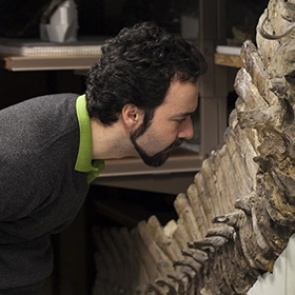 В костях динозавров сохранились клетки возрастом 75 миллионов лет