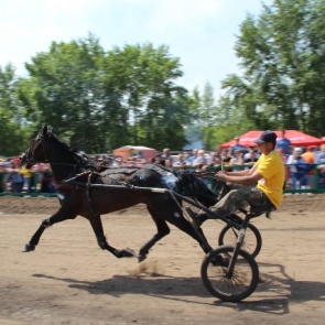 В Ачинске открылся собственный ипподром
