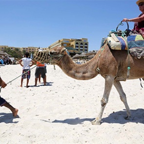 Спрос на туры в Тунис упал в два раза