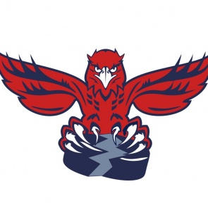 Хоккеисты «Сокола» будут играть под новым логотипом