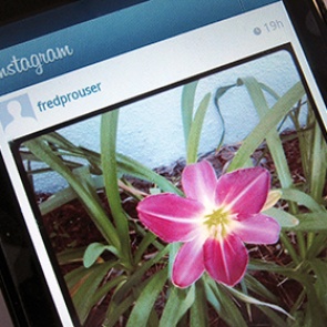 Instagram предложил альтернативу квадратным фотографиям