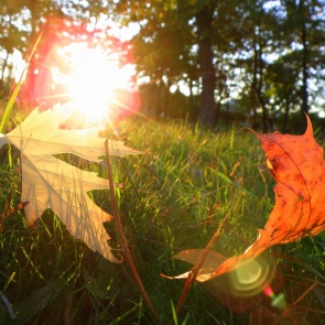 "Бабье лето" ожидается в Ачинске