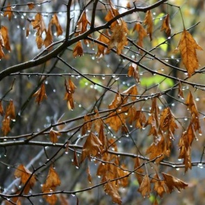 В Ачинск пришла прохлада