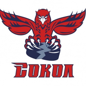 Хоккеисты «Сокола» провели два выездных матча чемпионата ВХЛ