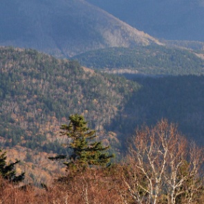 Дезертир на протяжении 11 лет скрывался в камчатском лесу