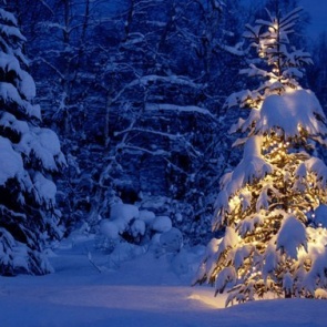Аномальное тепло и дождь придут в Ачинск на выходных