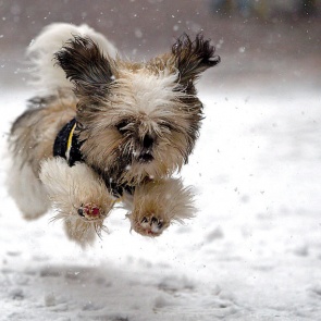 Наступивашая неделя будет без морозов и снегопадов