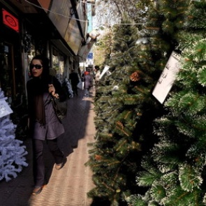 В США грабитель пытался спрятаться за купленной на украденные деньги елкой