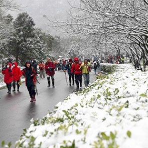 Жертвами аномальных холодов на Тайване стали 85 человек