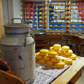 СМИ анонсировали возвращение импортного сыра в Россию