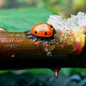 На выходных нас ждет ветер и дождь