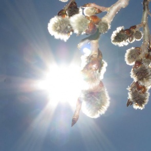 Синоптики пообещали до +19 и дожди