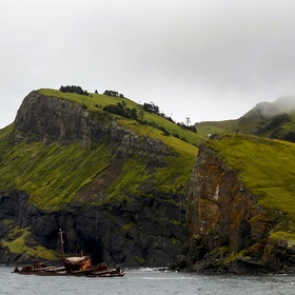 Пожаловавшимся Путину работникам курильского рыбокомбината выплатили зарплату