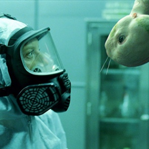 Ученые нашли способ останавливать рост раковых опухолей