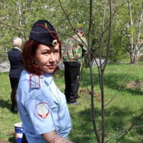 Ачинские полицейские и ученики правового класса высадили рябиновую аллею саженцев