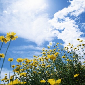 Синоптики пообещали дожди на всю текущую неделю