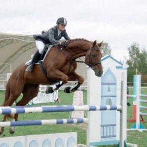 Приглашаем всех желающих на конно-спортивные соревнования