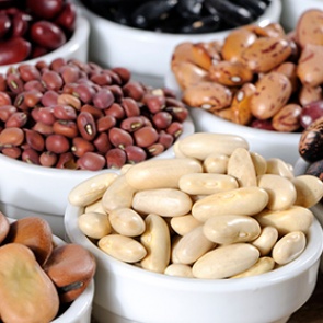 Назван продлевающий жизнь белок