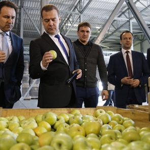 Медведев пообещал защитить село