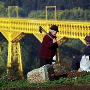 Названа причина высокой продолжительности жизни