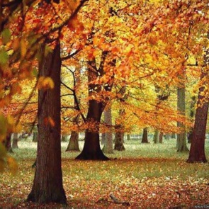 Эта неделя в ачинске будет теплой и с дождями