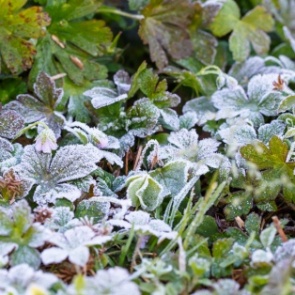 К концу недели в Ачинск придут дожди и серьезное похолодание